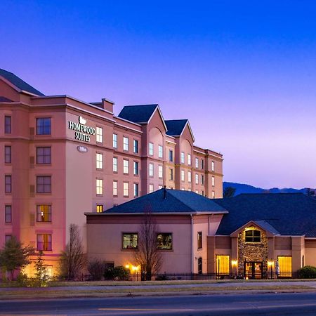 Homewood Suites By Hilton Asheville Kültér fotó